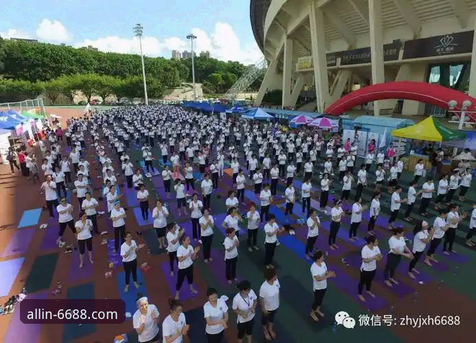 6688体育官方正版下载全流程详解与使用指南